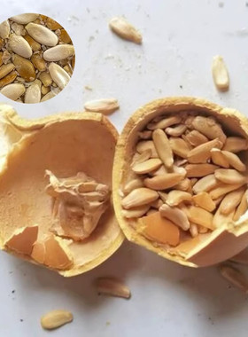 天然包浆玉化红皮葫芦文玩首年手把件国风摆件带龙头加压盘玩男女