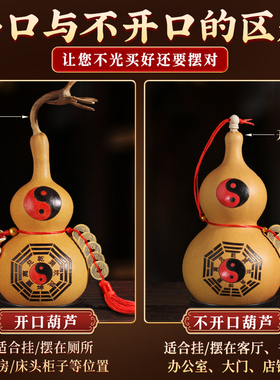 八卦五帝钱植物开口龙头天然葫芦