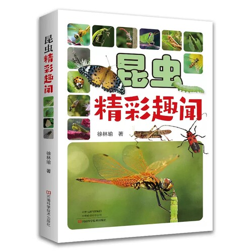 【书】正版昆虫精彩趣闻 徐林瑜 青少年昆虫科普读物 中原地区近百种昆虫形态特征、生活习性和奇特行为 河南科学技术出版社书籍 - 图0