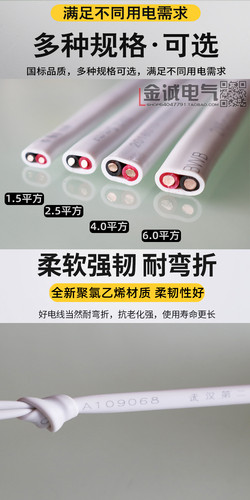 武汉二厂飞鹤电线BVVB 2x6平方铜芯护套线足米国标双股零火进户线 - 图0