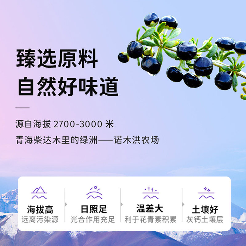 早康黑枸杞原浆汁鲜枸杞原浆构杞原液新鲜枸杞子210ml官方旗舰店