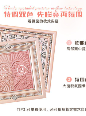 CHEERFLOR游乐者画框双色腮红盘