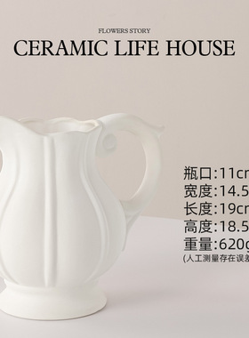 SuMai水壶陶瓷花瓶插花摆件高级感小众家居装饰客厅玄关仿真花