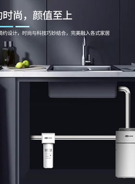 汉斯顿净水器中央别墅全屋过滤