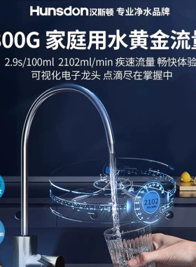 汉斯顿家用直饮0阻垢剂净水器