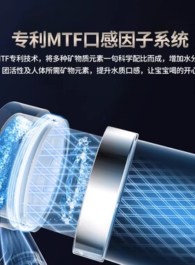 汉斯顿净水器家用直饮X60P80滤芯