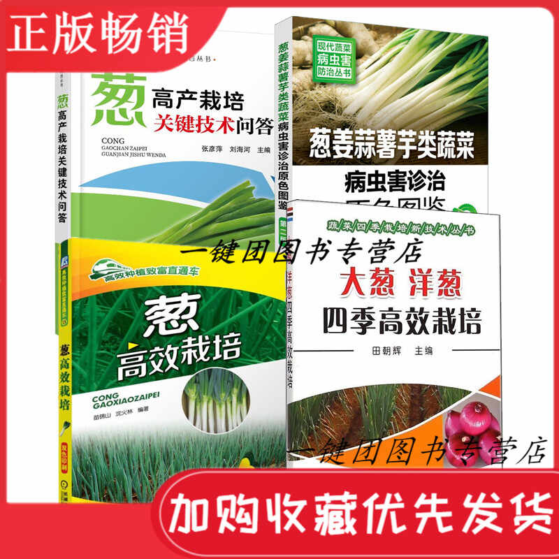 高产蔬菜种子 新人首单立减十元 21年9月 淘宝海外
