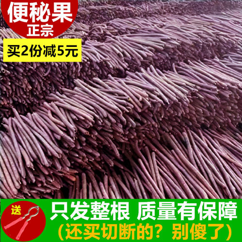 大解果天然缅甸大便果正品腊肠树整根野生纯植物清肠一斤装过新货 - 图0