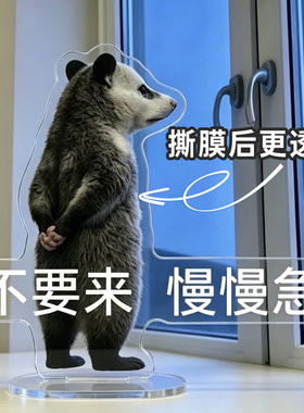 负鼠表情包亚克力立牌小摆件