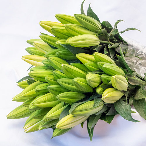 云南鲜花基地直发香水百合鲜切花真花向日葵玫瑰混搭花束重瓣百合 - 图0