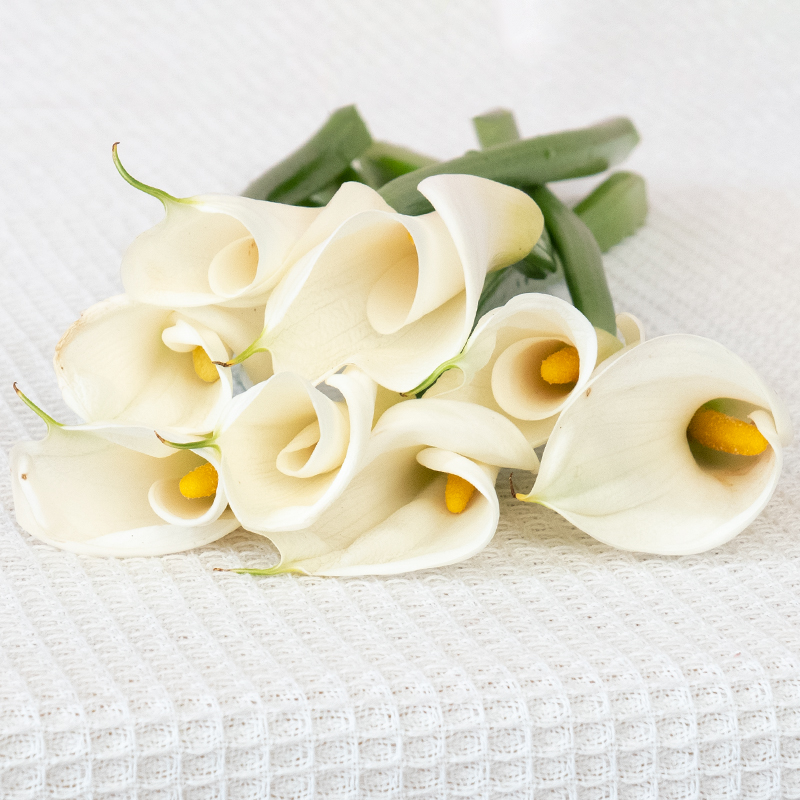 白色马蹄莲鲜花真花水养鲜切花云南基地直发家用客厅办公同城速递,淘宝优惠券,粉丝福利购,淘宝优惠卷