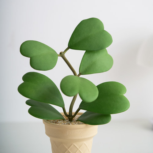心叶球兰有趣多肉植物耐旱新手好养垂吊室内阳台盆栽绿植桌面摆件 - 图3