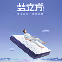 Gu Home Latex Mattress Antibacterial anti-mite natural latex mat Sleep bed cushion spring home sleeping cushion M0501