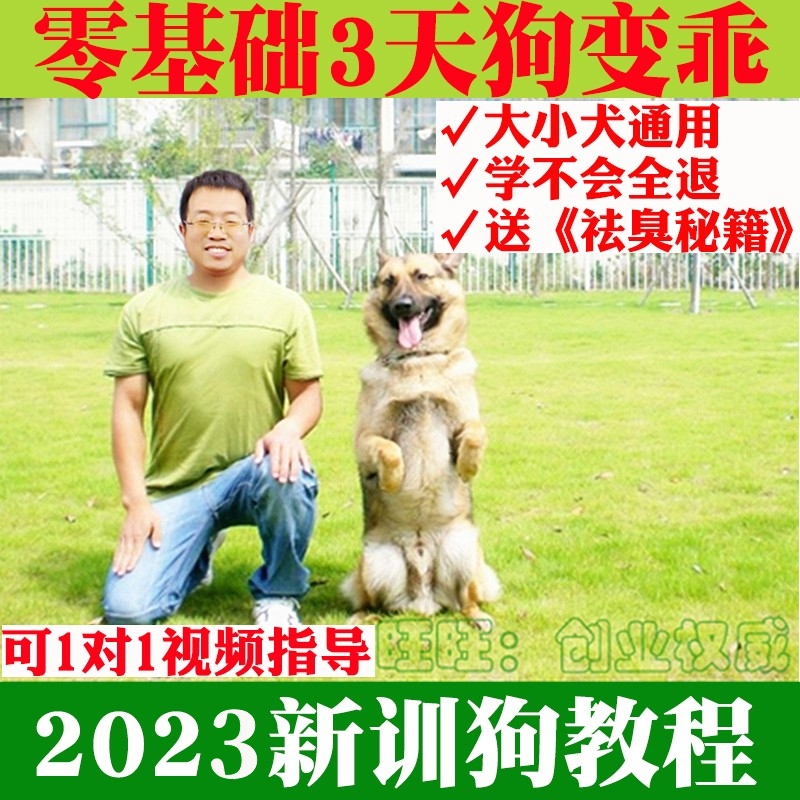 训狗教程训犬金毛边牧训练教程零基础狗狗定点上厕所大小便神器-图2