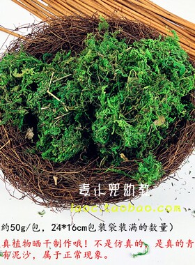 新品鲜活青苔微景观苔藓绿色植物干水苔幼儿园手工制作diy材料50g
