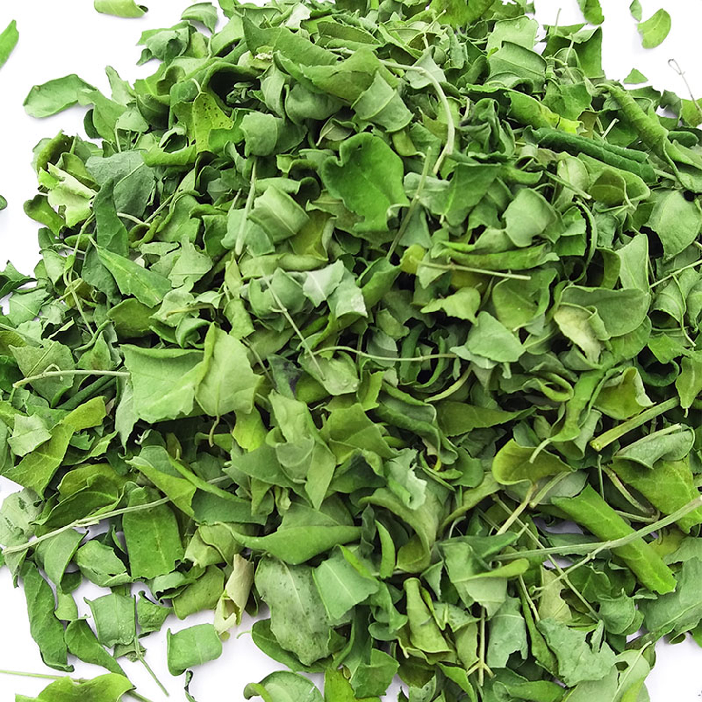 辣木叶茶新鲜干叶粉云南天然凉干正品500g非印度复合粉面叶片包邮 - 图2