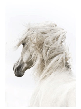 白马客厅房间玄关无框装饰画