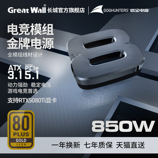 Great Wall Power M6 Gold Medal Full Module Rated 650W