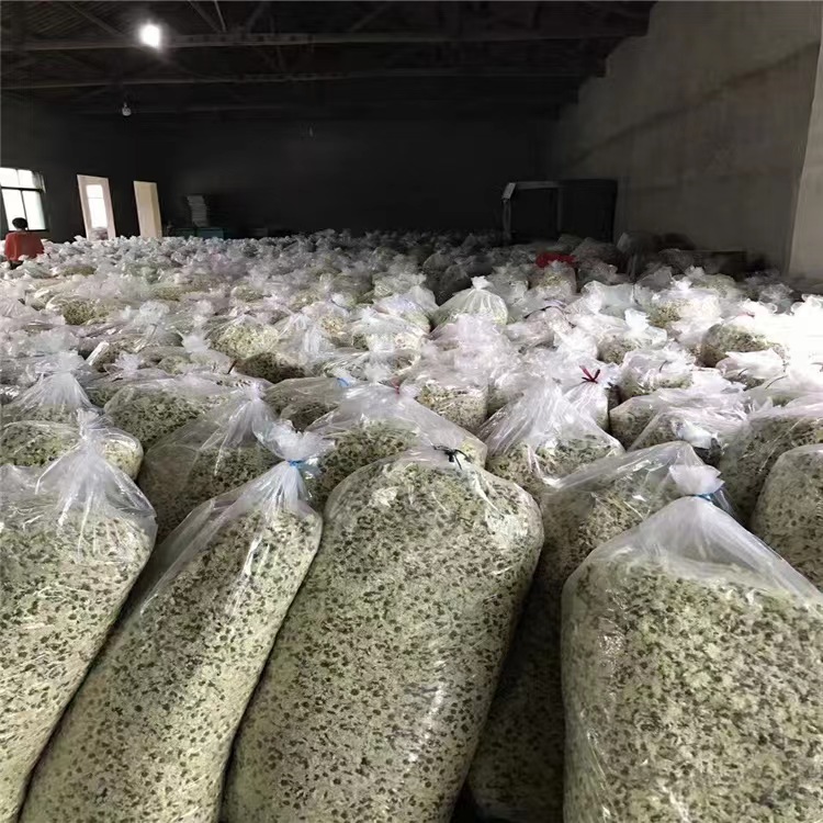 白菊花茶500g正宗黄山贡菊安徽新花散装另售特级杭白菊胎菊王-图2