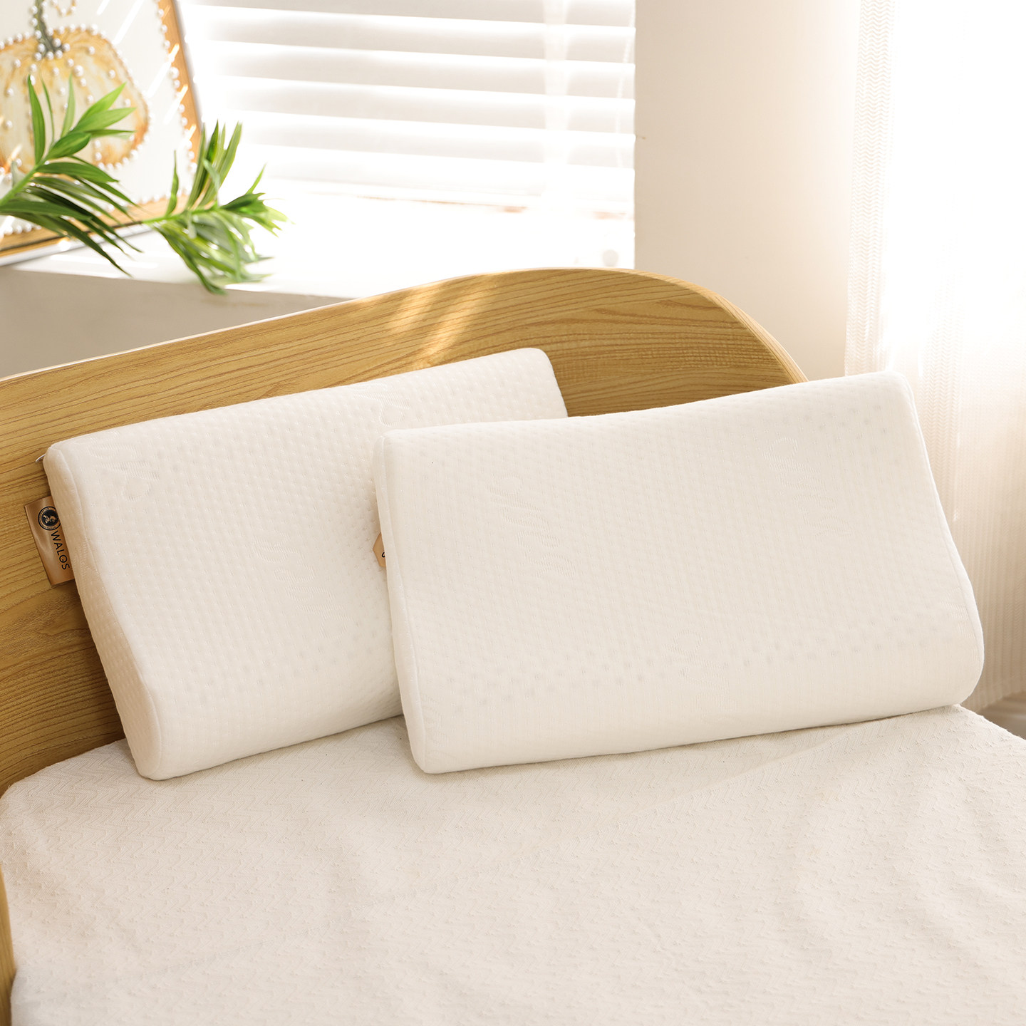 中号儿童慢回弹护颈椎乳胶枕30*50学生宿舍记忆枕头零压助眠枕芯,淘宝优惠券,粉丝福利购,淘宝优惠卷