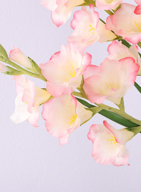 北欧仿真花剑兰家居客厅餐桌软装饰工程婚庆布景摆件假花