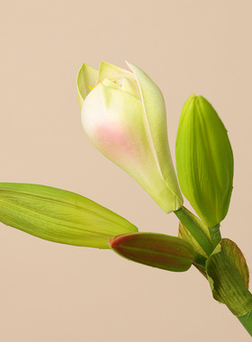 仿真花4头朱顶兰插花摆件PU君子兰家居装饰花艺软工程假花花材