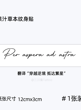 拉丁文草本纹身贴套装防水持久