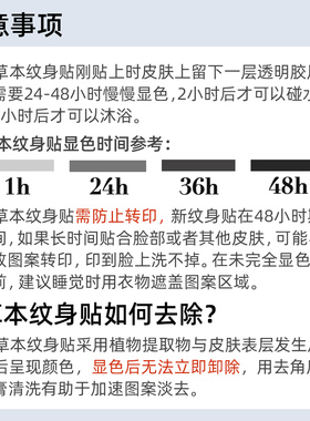 三川集 飞天小女警动漫卡通草本纹身贴 防水持久男女高级感 手臂