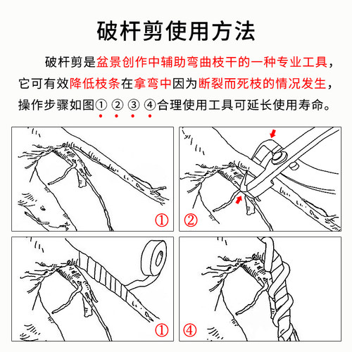 关照盆景开枝钳破杆修枝剪专业盆栽园艺粗枝拿弯制作养护造型工具 - 图0