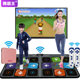 Dance King wireless dance mat for two people to dance