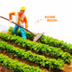 Diy handmade vegetable garden building model materials miniature scene mini simulation food dollhouse tools mini