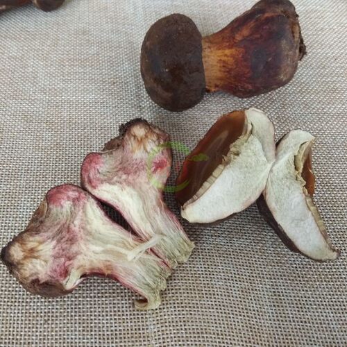 25年现货新鲜野生黑牛肝菌2斤云南特产蘑菇野生菌 鲜大脚菇黑见手 - 图2