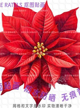花卉一品红图案贴画抠图自贴纸家居贴花餐厅贴墙上冰箱柜门贴装饰
