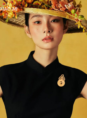 中式国潮葫芦胸针古风气质胸花