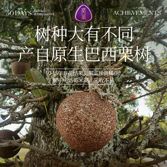 觅菓巴西大鲍鱼果仁1kg补硒富硒大颗粒健康零食坚果礼盒高端送礼