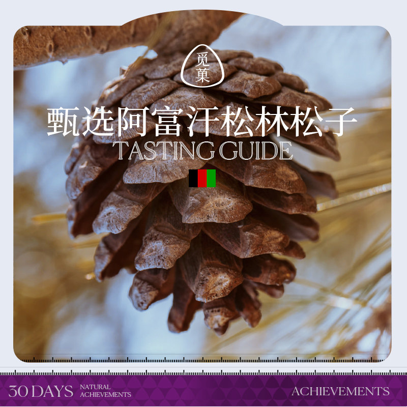 觅菓阿富汗松子A+25年新货坚果健康营养大颗粒年货送礼238g,淘宝优惠券,粉丝福利购,淘宝优惠卷