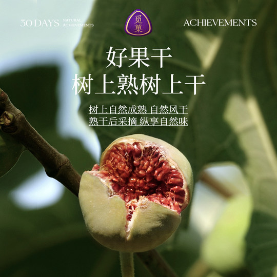 觅菓伊朗玫瑰无花果干A+338g女性天然黄体酮孕妇坚果礼盒送礼