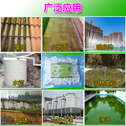 石头台阶人行道花园庭院子砖墙地面绿苔藓净青苔清除去除清洗剂 - 图1