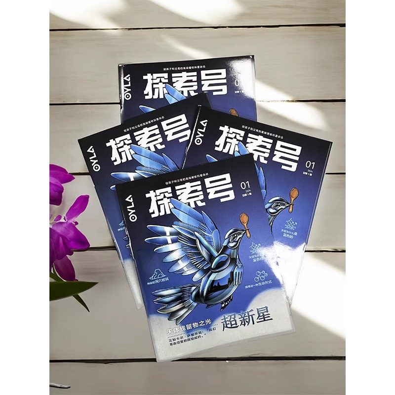 探索号·少年科学院杂志【2025年1-12月全年/半年/单月订阅 共36期】赠儿童单肩斜挎背包 8-15岁青少年科普期刊 天体物理科学杂志,淘宝优惠券,粉丝福利购,淘宝优惠卷