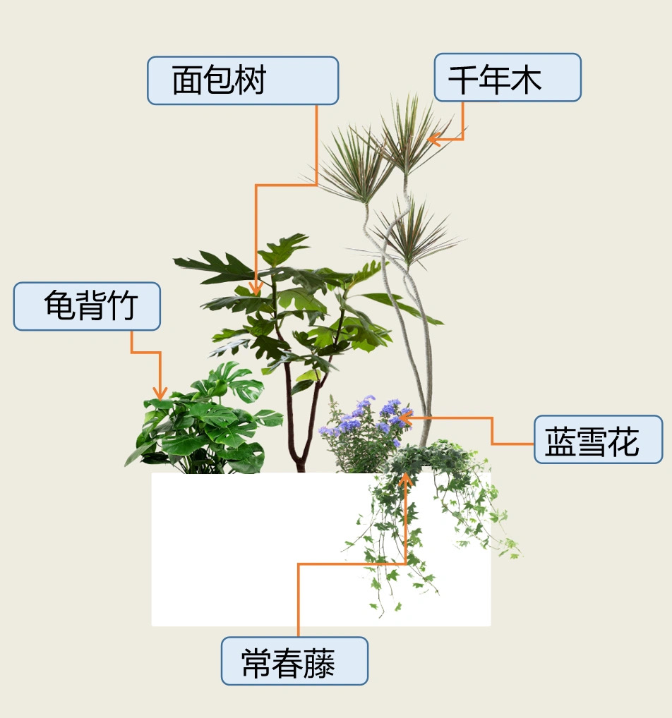 室内外大型绿植组合盆栽真植物造景花箱套组阳台场景网红橱窗景观-图1