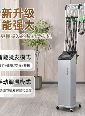 恒温数码烫单孔超轻高端智能双孔热烫发机器双系统艾文芭菲发廊用