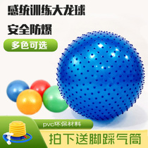 Thickened Explosion Prevention Large Dragon Ball Children Sensation System Training Yoga Fitness Massage Spurs Ball Early Teach Kindergarten Toy Cage Ball