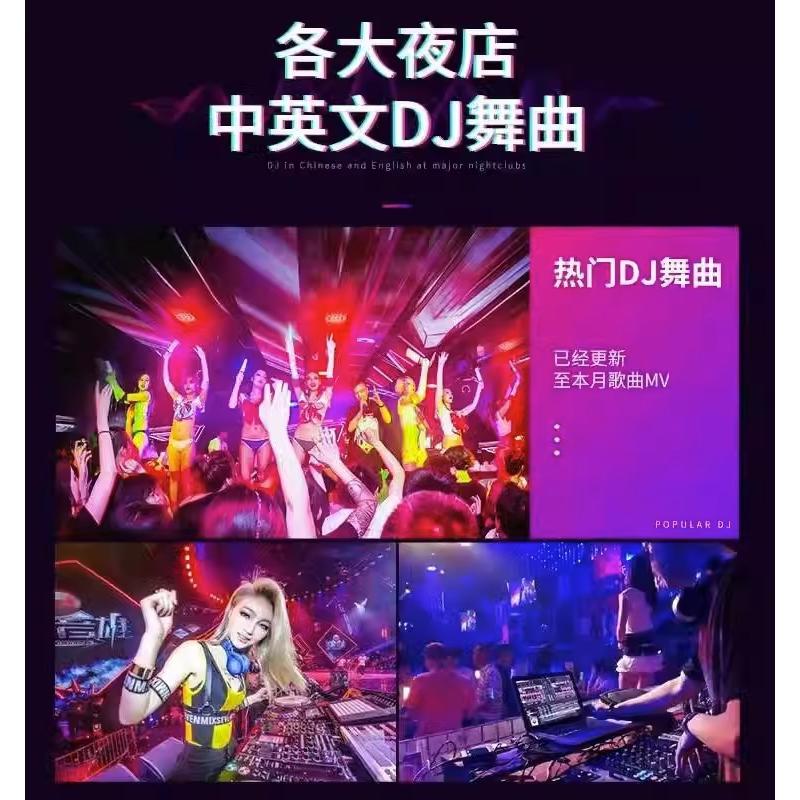 2023车载u盘歌曲流行DJ炸街舞曲劲爆重低音无损高音质音乐usb优盘 - 图2