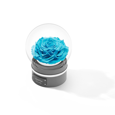 Roseonly永生玫瑰十二星座守护色永生花音乐球礼盒 虎窝淘