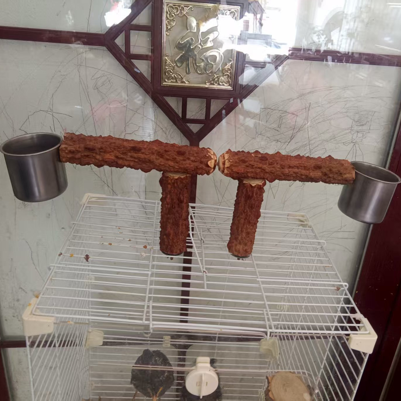 Parrot myna training stand