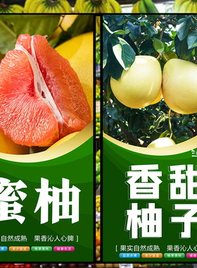 沙田柚红心蜜柚子水果店高清店铺氛围墙纸贴纸装饰画广告自粘贴画