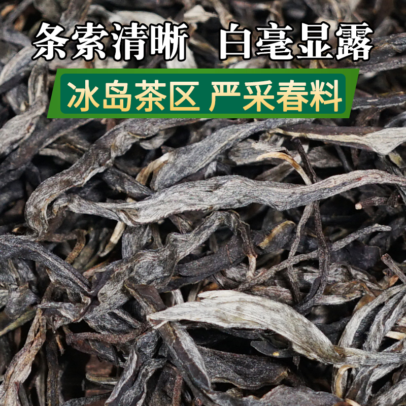 2023年新茶1500g散装冰岛普洱茶坝歪云南普洱生茶散茶特级早春茶-图0