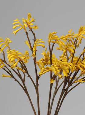 黄色样板房绿植装饰花艺