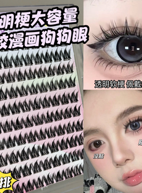 透明梗大容量100簇免胶假睫毛