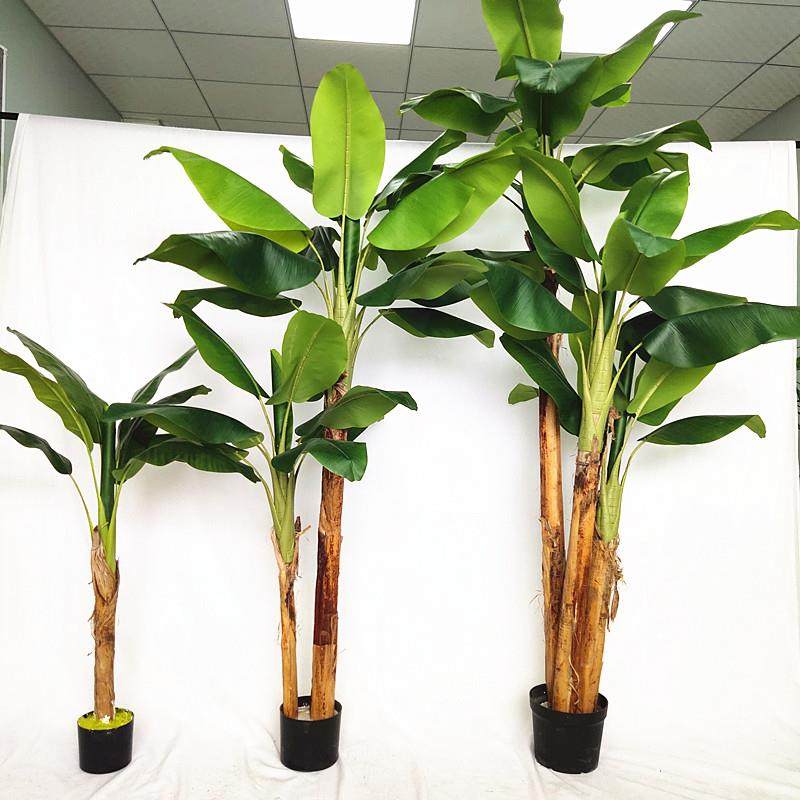 室内香蕉花 新人首单立减十元 21年11月 淘宝海外